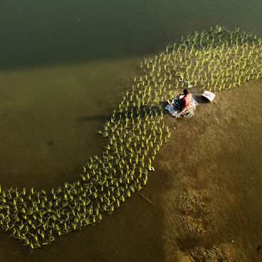 Continuing steps to combat climate change