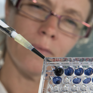 University researchers receive £15 million to support pioneering work