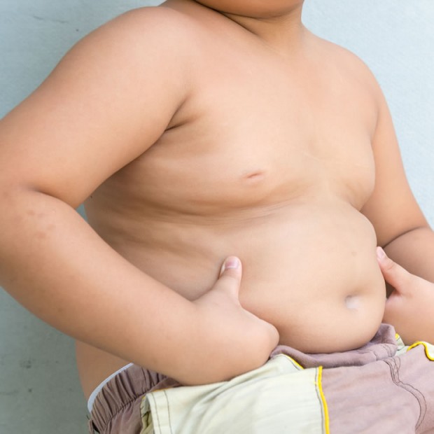 Challenging the government on childhood obesity