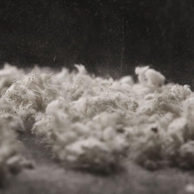 Fighting cancer caused by asbestos