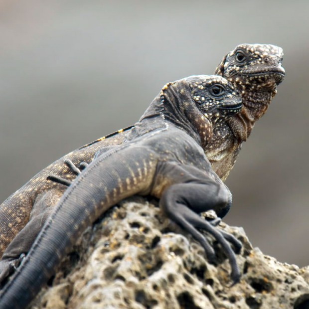 Graduate contributes to TV’s ‘moment of the year’