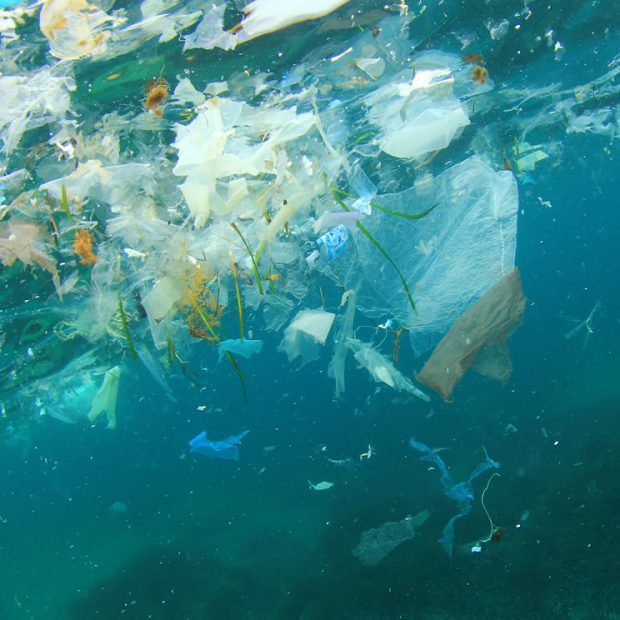 Showcasing Southampton’s research into marine plastic pollution