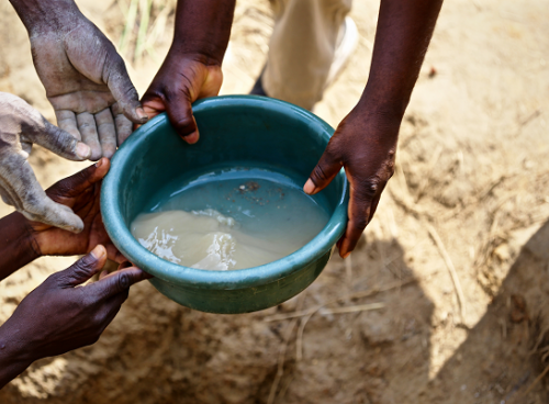 Degrees To Save The World: Creating Sustainable Change in Cameroon